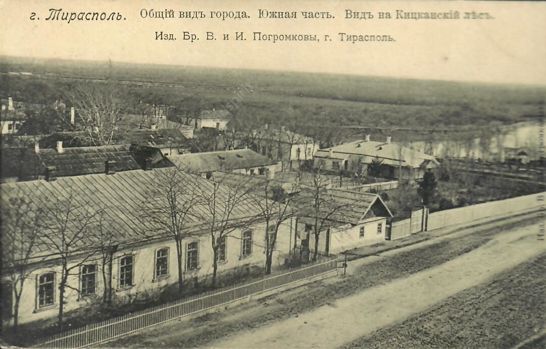 Южная часть города. Вид на Кицканский лес